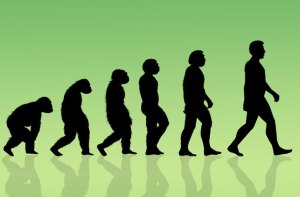 human-evolution-670
